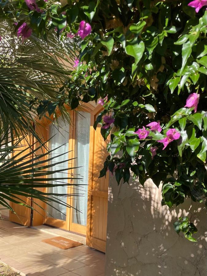 Casa Delle Farfalle Chia Luaran gambar